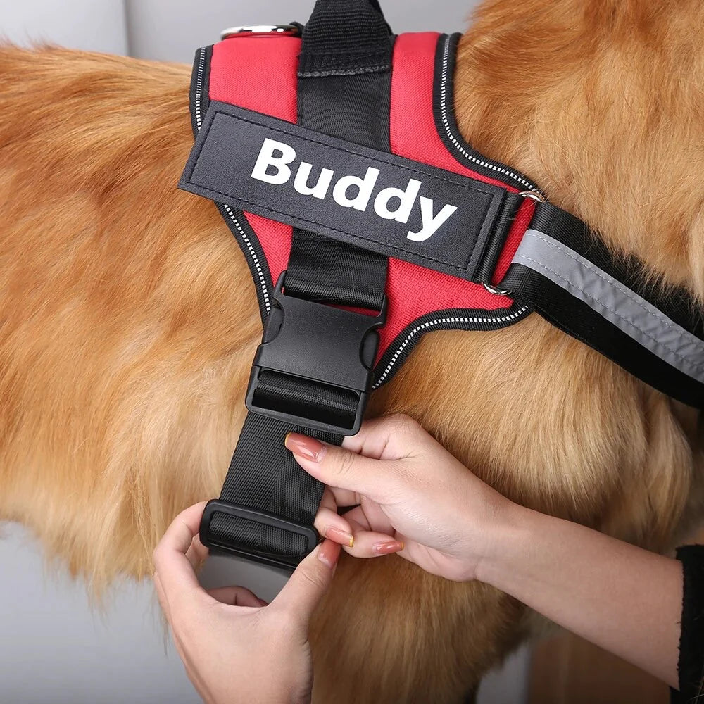 The Perfect Fit: Discover the Joy of Stress-Free Walks with a Custom Dog Harness