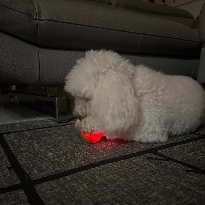Fur Baby Fun™ Puppy PlayMate: LED Magic Motion Ball