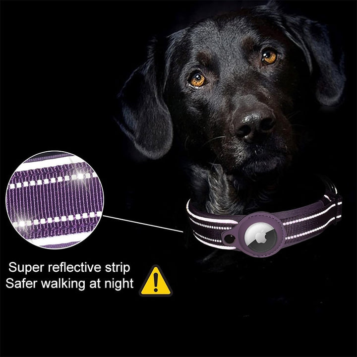 Fur Baby Fun™ Anti-Lost Dog Collar
