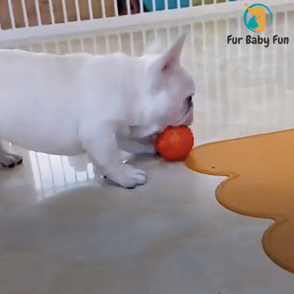 Fur Baby Fun™ Puppy PlayMate: LED Magic Motion Ball