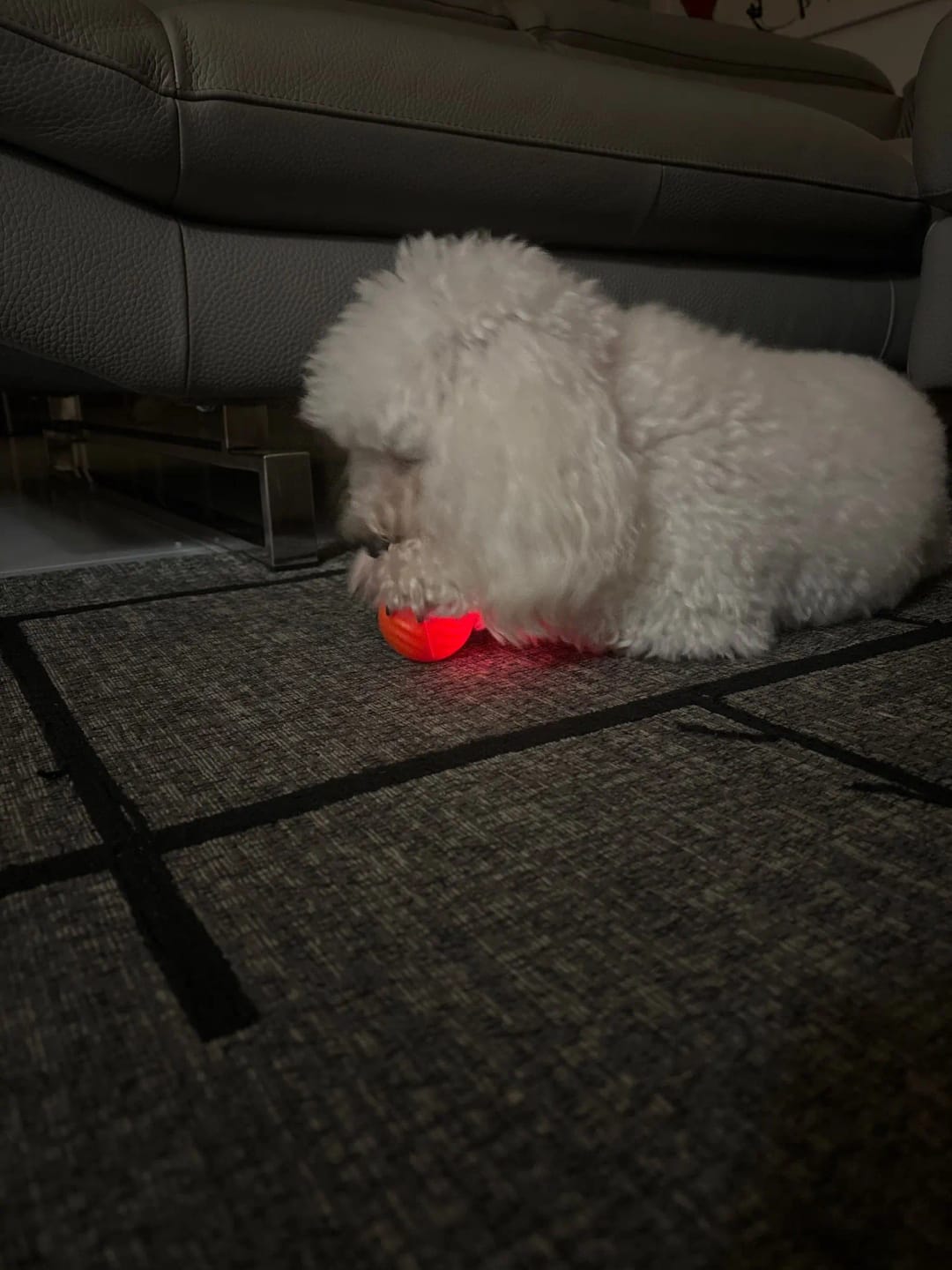 Keep Tails Wagging with Extended Play: Meet the Puppy PlayMate with Enhanced Battery Life