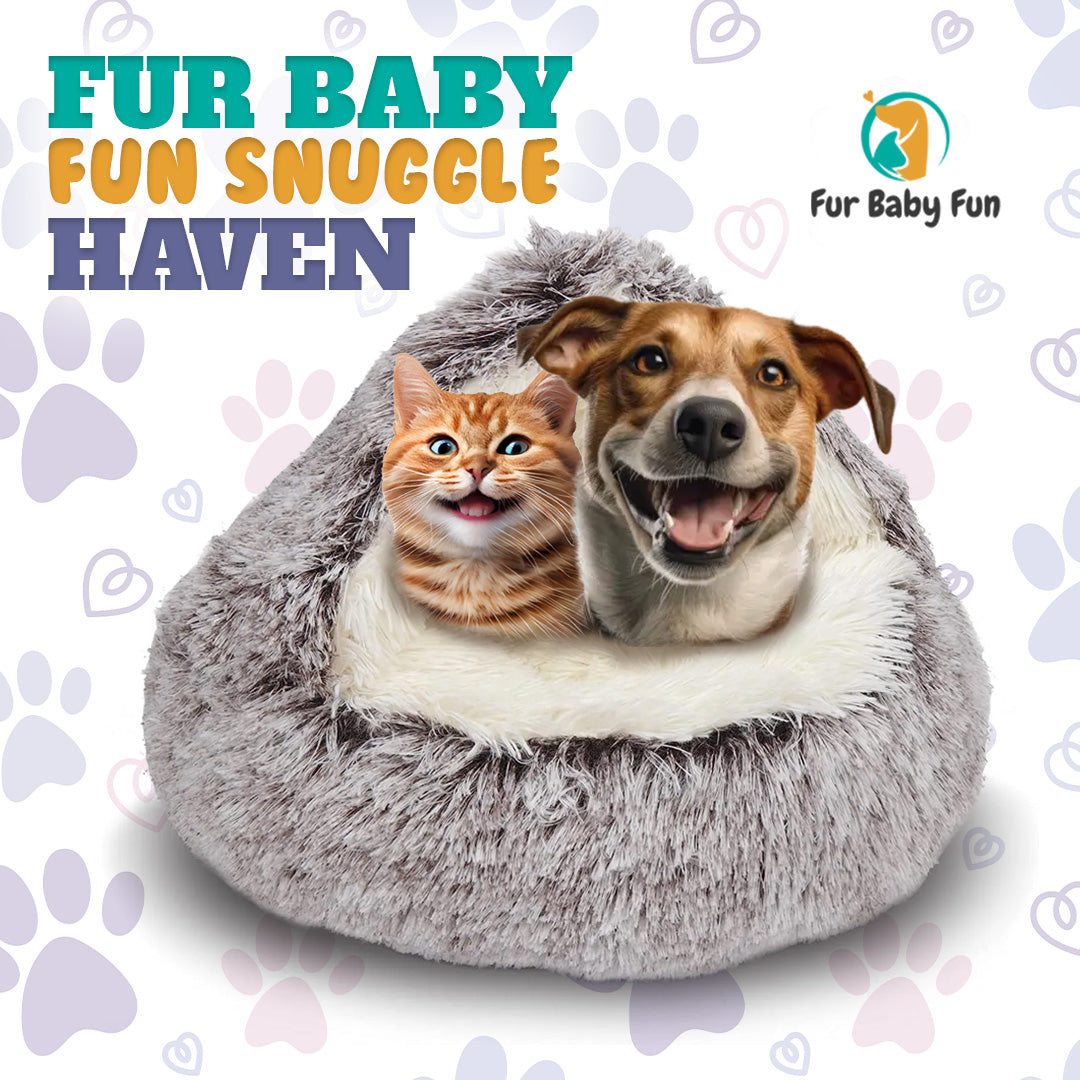 Creating the Ultimate Comfort Zone: A Guide to Setting Up Your Pet's Snuggle Haven