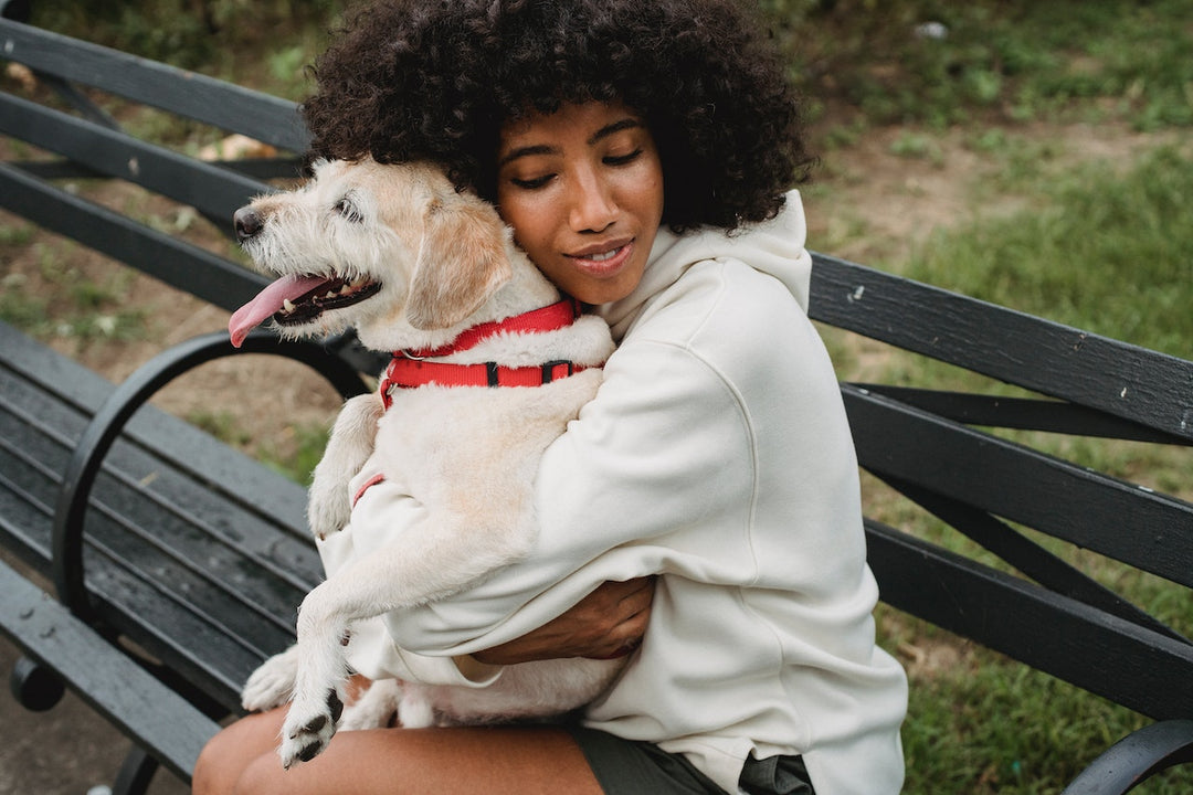 How to Help Your Pet Overcome Fear and Anxiety: Building Confidence and Trust