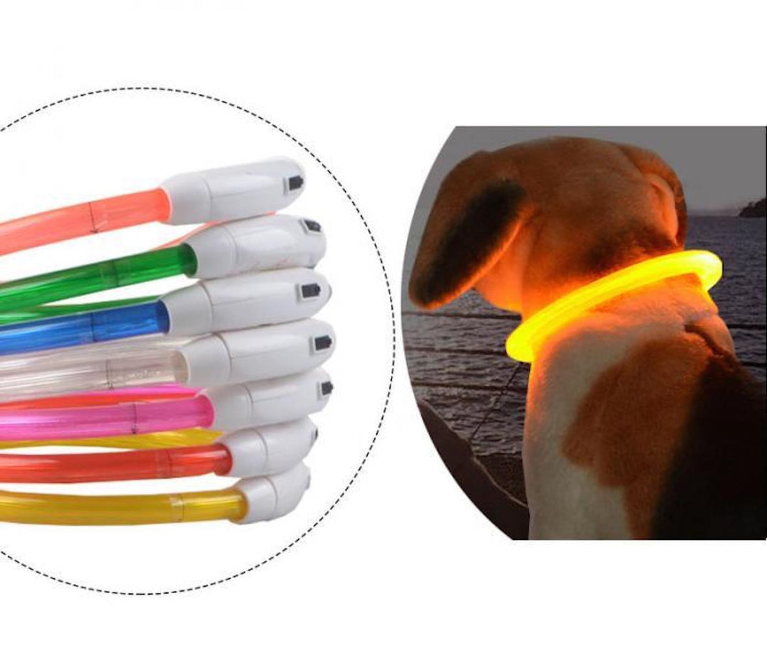 RECHARGEABLE LED Light-Up Flash GLOW COLLAR Dog Pet Safety MICRO USB Adjustable