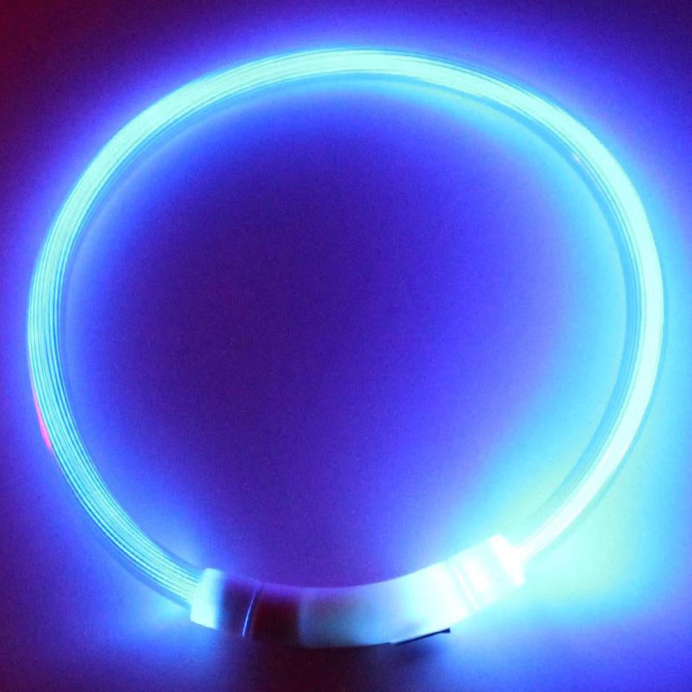 RECHARGEABLE LED Light-Up Flash GLOW COLLAR Dog Pet Safety MICRO USB Adjustable