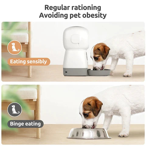 Fur Baby Fun™ Deluxe SmartFeeder