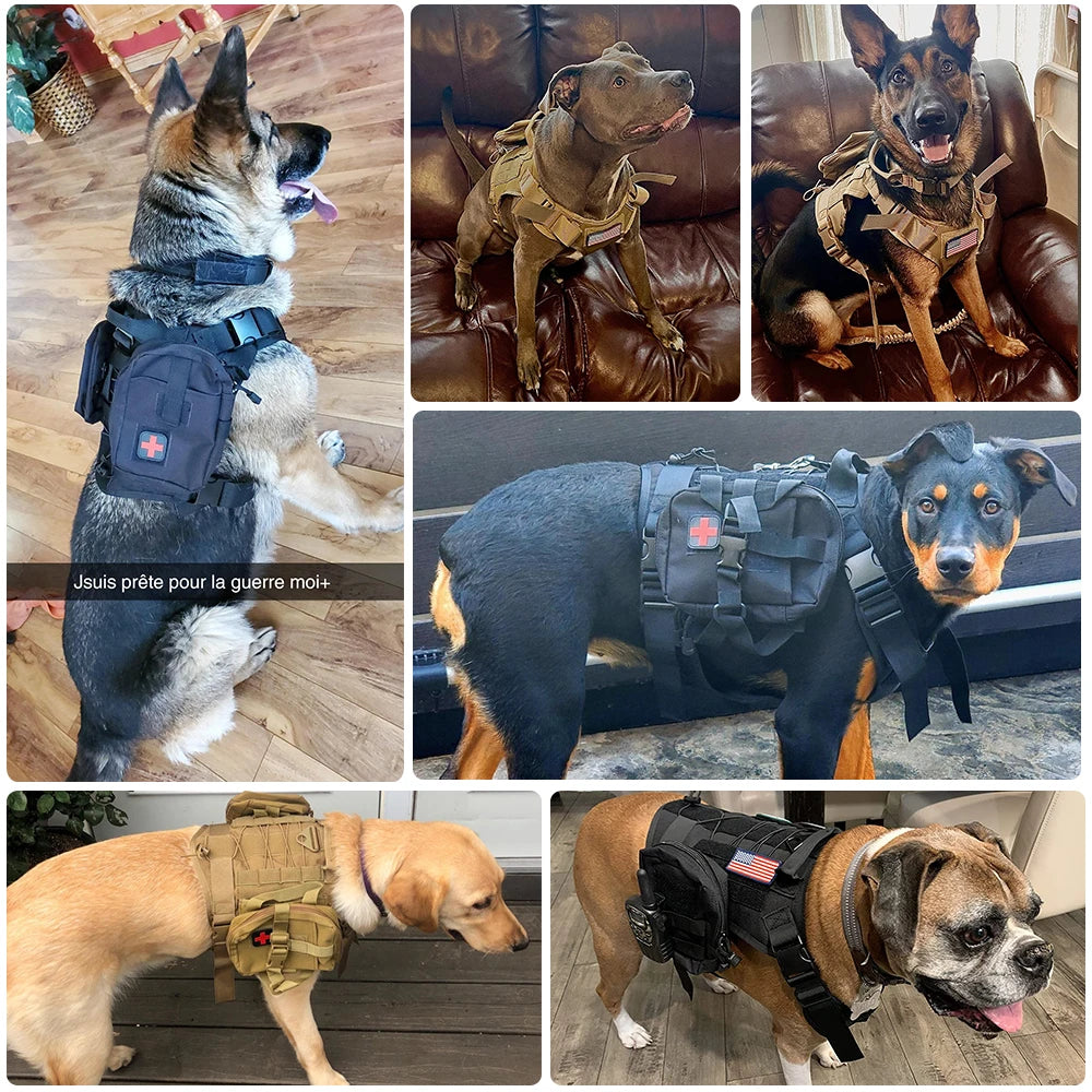 Fur Baby Fun™ Ultimate Elite Harness